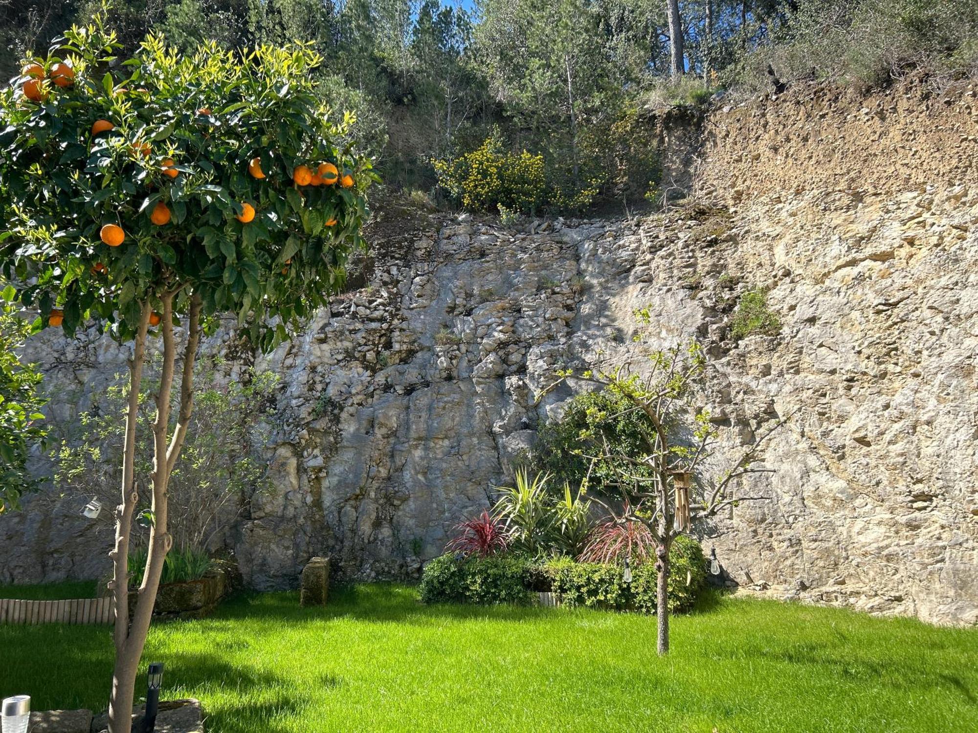 Loft Sauna Balneotherapie Beaucaire  Buitenkant foto